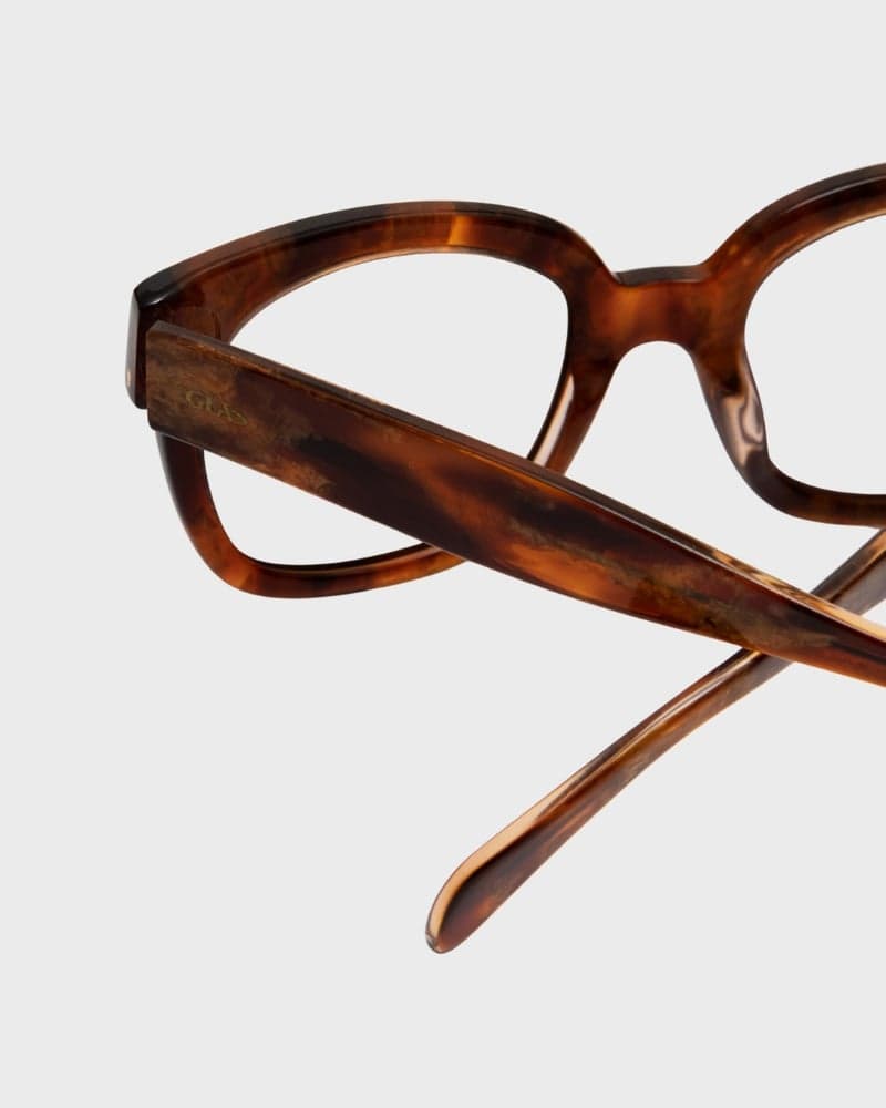 Chloe Turtle Brown Readers
