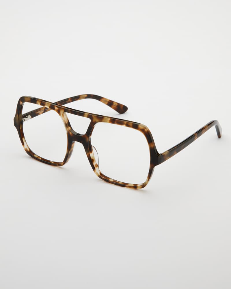 Lilly Turtle Brown Readers