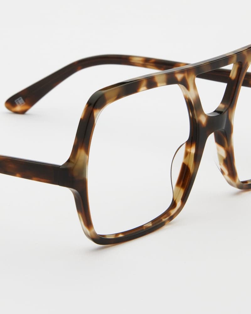 Lilly Turtle Brown Readers