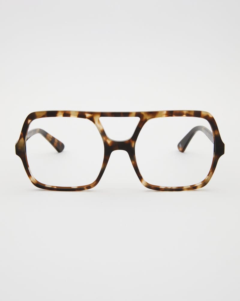 Lilly Turtle Brown Readers