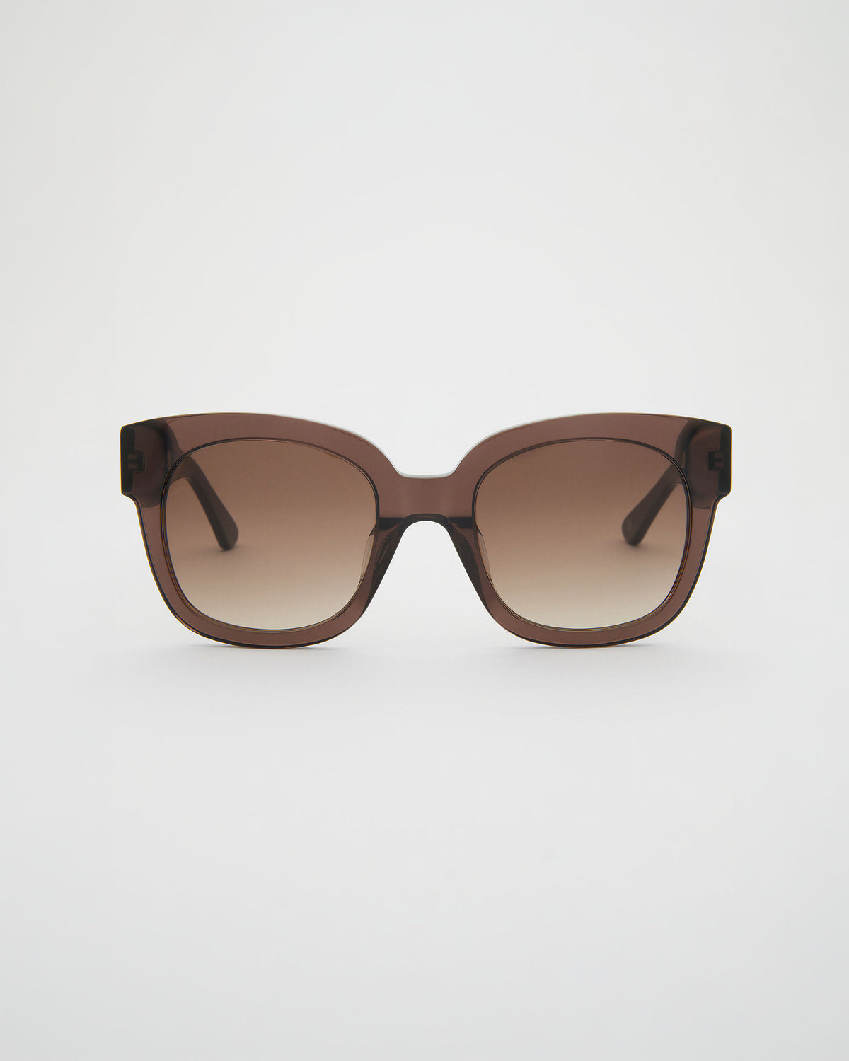 Chloe Chocolate Sunglasses
