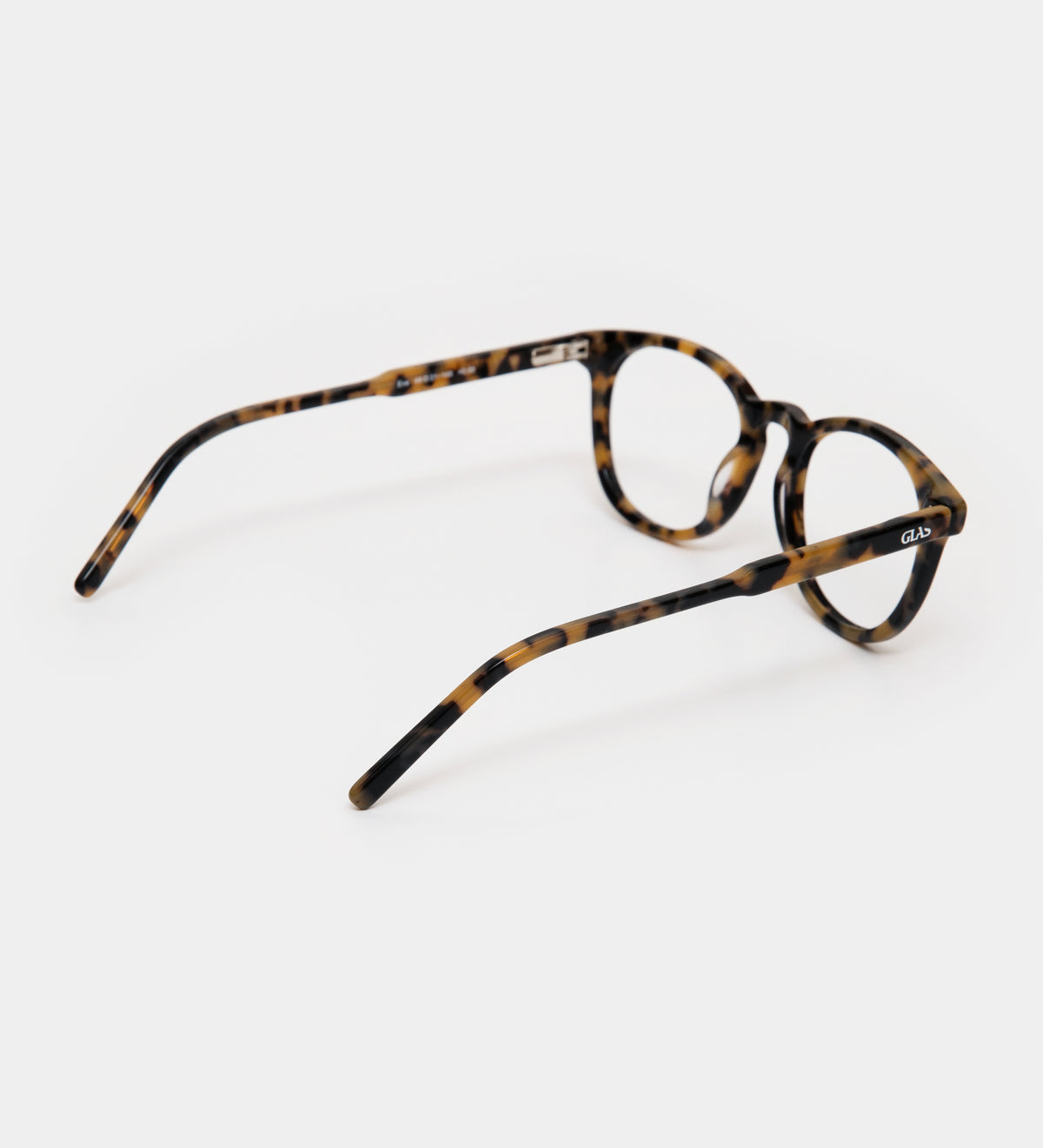 Eva Honey Turtle Readers
