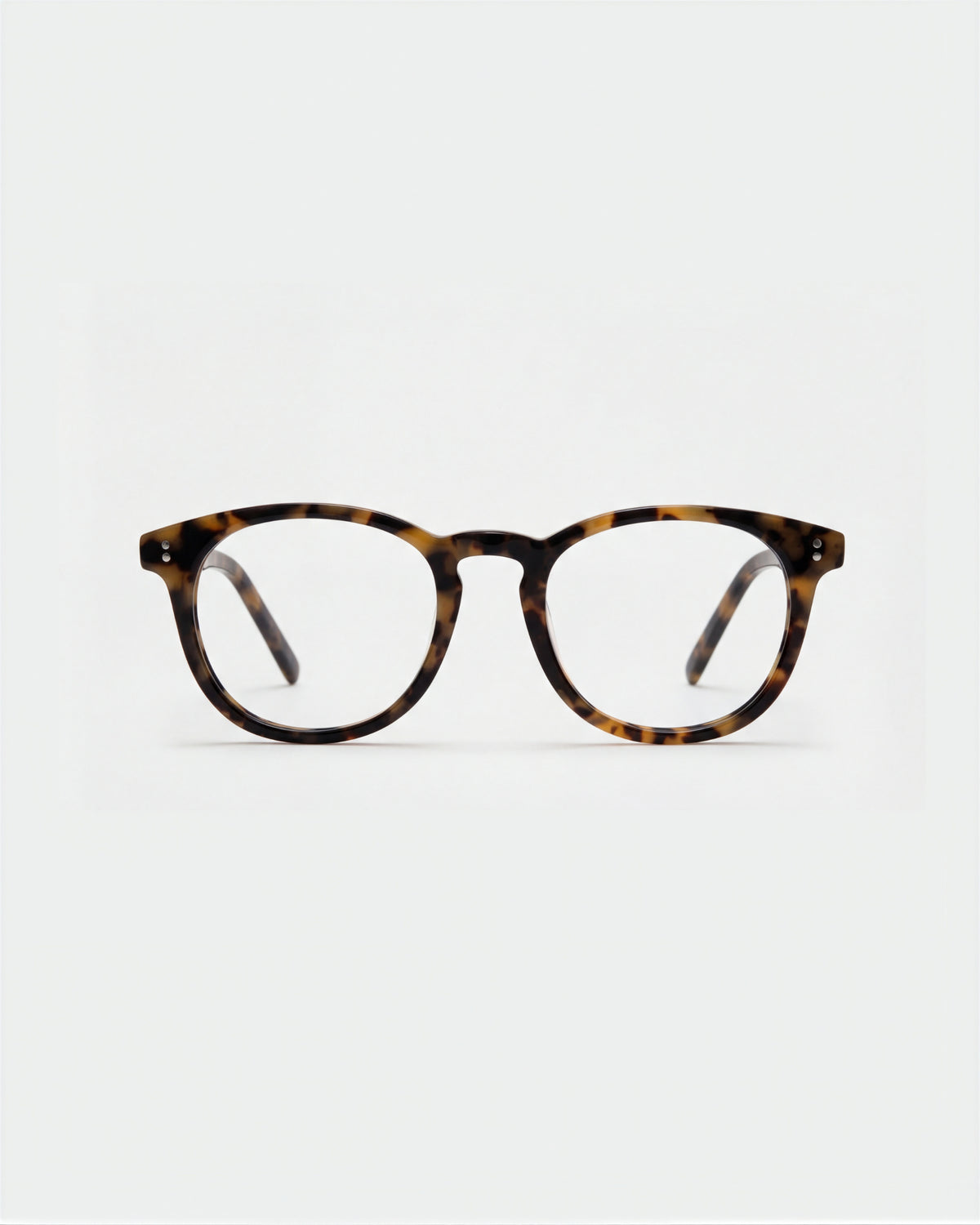 Eva Honey Turtle Readers
