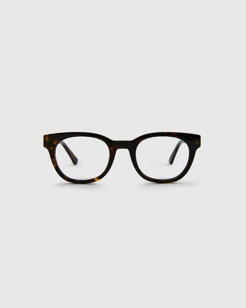 Jamie Turtle Brown Readers