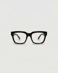 Noel Turtle Brown Readers