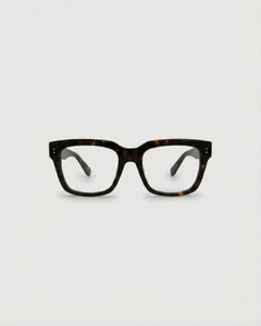 Noel Turtle Brown Readers