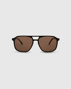 Robyn Turtle Brown Sunglasses