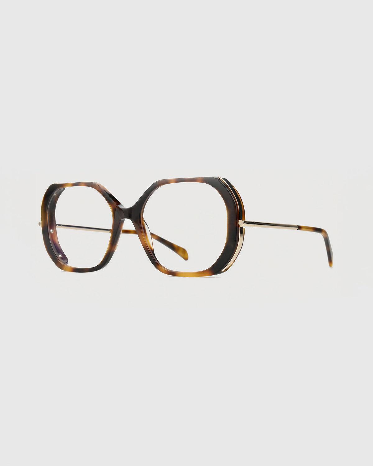 Celeste Turtle Brown Readers