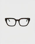 Kiara Turtle Brown Readers